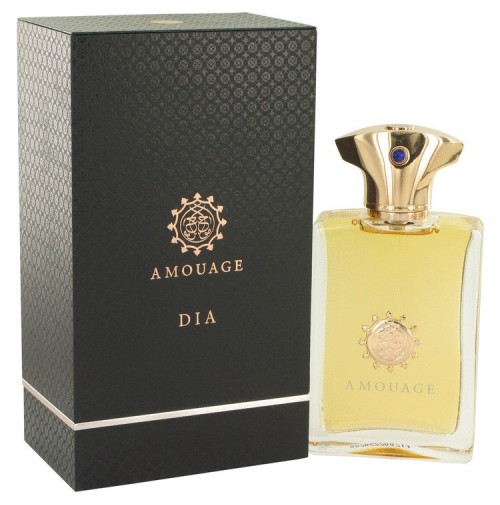 AMOUAGE DIA POUR HOMME 100ML EDP SPRAY FOR MEN BY AMOUAGE